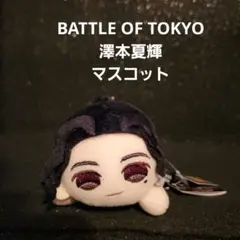 Item thumbnail for item 068b4160-7f0c-4f55-990c-1761f1790e22