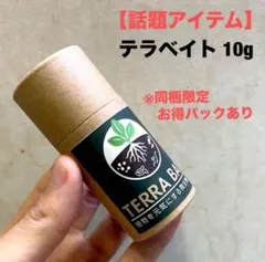 2026年最新】ホマロメナ Homalomenaの人気アイテム - メルカリ