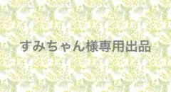 ⑯ すみちゃん様専用出品