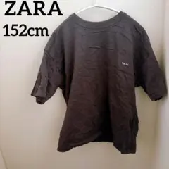 ZARA【152cm】ダークブラウン Tシャツ 半袖 トップス キッズ かわいい