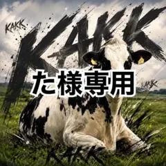 画像内容