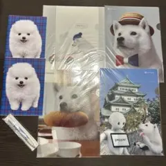 ソフトバンク　お父さん　犬　クリアファイル5枚　ノート2冊 ギガちゃんボールペンのサムネイル