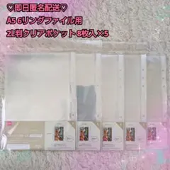 A5 6リングファイル用2L判クリアポケット♡5セット シートシールコレクション