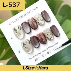 【L-537】シルバーグレーマグネット×ボルドーラメ♡ ネイルチップ［L］