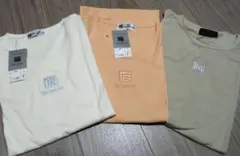 Item thumbnail for item e22c364f-5fa7-4d39-8cd2-dc2c38412d0d