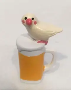 コンコンブル文鳥