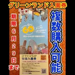 グリーンランド 特別入園券 有効期限2026年6月29日のサムネイル