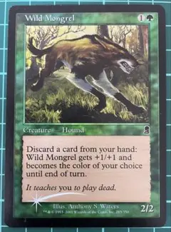 MTG 黄昏のぬかるみ EXP 英語 foil | Mercari