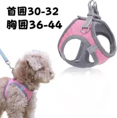 Item thumbnail for item a8cb1200-fd3e-4e75-ab14-6ff7b62602cb