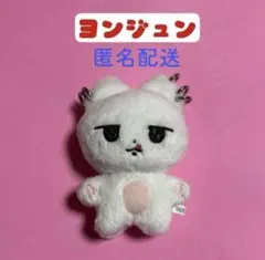 TXT ヨンジュン マスター ぬいぐるみ - メルカリ