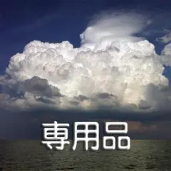 加藤石春 作 葵紋 抹茶椀 茶道具 古美術 加藤石春 作 葵紋 抹茶椀 茶道具 古美術 - メルカリ