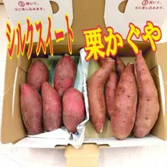 アーモンド 菓子クルミ 栗 苗木 3種類セット5号ポット高さ約90cm8/3