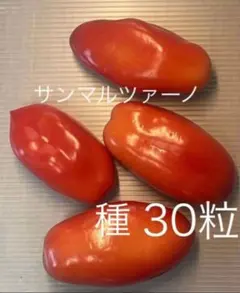 SHAMAN PLANTS様 リクエスト 2点 まとめ商品