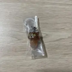 なめこ栽培キット　めじるしアクセサリー2