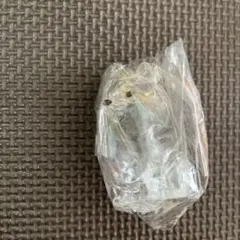 わんちゃんもふもふボトル　毛　毛玉　ポメラニアン　チャーム　犬