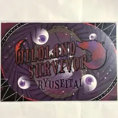 あんさんぶるスターズ‼︎ 流星隊 歌詞カード　あんスタ