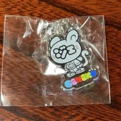 ジェ猫 アクリルキーホルダー①