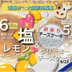 ②⭐️塩レモンチーズケーキ６号 ◯クリーミーチーズケーキ５号 セットのサムネイル