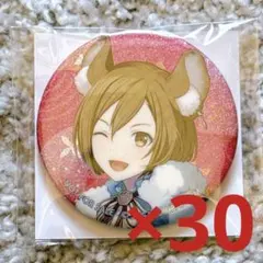 MEIKO プロセカ グリッター缶バッジ 52A 65点 - メルカリ