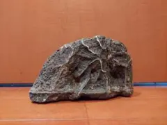佐治石 川石 観賞用石 約3kg - メルカリ
