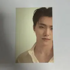 SEVENTEEN セブチ ディノ Your Choice ポストカード