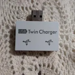 最終値下げ中！USB Twin Charger DC5V 充電器