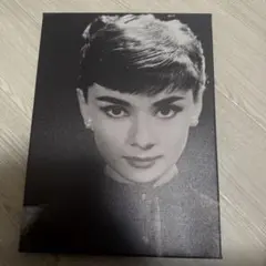 オードリーヘップバーン ポスターパネル