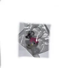 チャーミーキティー ハローキティ めじるしアクセサリー