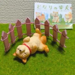 となりの柴犬★ おやすみ柴犬とピンク柵