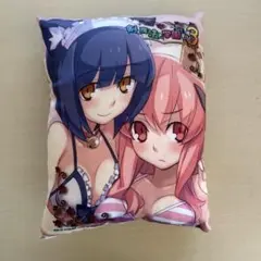剣と魔法と学園モノ。3 ミニクッション WonderGOO特典