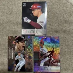 Item thumbnail for item eb21faef-48af-4420-b8a7-a4336f5f09a0