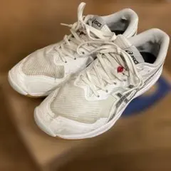 2026年最新】ローテジャパンライトff3の人気アイテム - メルカリ