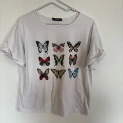 SHEIN シーイン【M】蝶プリントTシャツ アイボリー 半袖