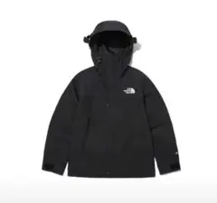 THE NORTH FACE 海外限定MOUNTAIN JACKET ブラック