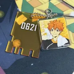 【ハイキュー!!】☆日向翔陽☆極楽湯コラボ トレーディング銭湯錠風キーホルダー