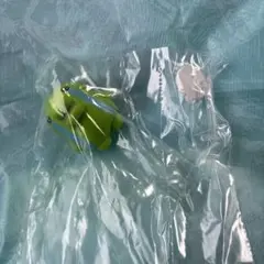 えもふぃぐ！たまごっち くちばっち