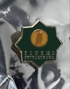 （おまとめ可）鬼滅の刃　柱百景～コレクションピンズ　実弥2 藤の花