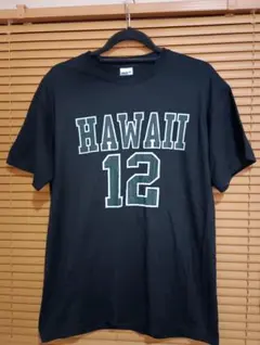 GILDAN HAWAII 12 プリントTシャツ ブラック Mサイズ