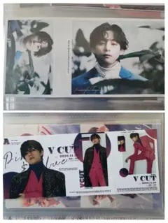 BTS 韓国製作者　V テテ　フォトカード　フォトチケット