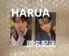 &TEAM MoM プレミアムサイン会 スプサ プレサ トレカ HARUA