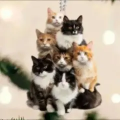 Item thumbnail for item 68ee76af-0b7a-4a9f-9d63-838e6584f5b7