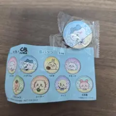 ちいかわ くら寿司 コラボ 缶バッジ ハチワレ