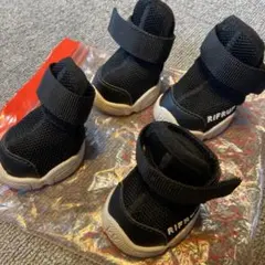 Item thumbnail for item 47785e55-5b8d-4eb9-bc67-3e6e4b1ccd40