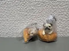 いぬぱん　リターンズ　パグ✖️カレーパンとゴールデンレトリバー✖️クロワッサン