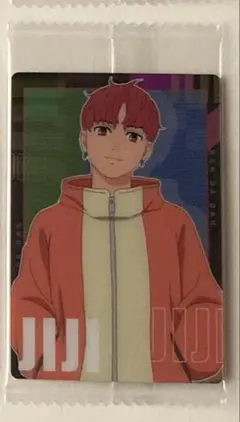 【りょこ様　専用】