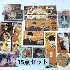ハイキュー!! 日向翔陽 影山飛雄 まとめ売り　15点セット　烏野高校