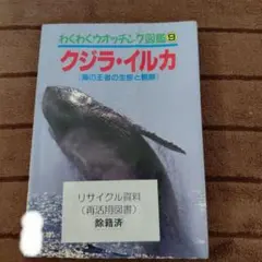 クジラ・イルカ わくわくウオッチング図鑑9 訳あり クジラ・イルカ わくわくウオッチング図鑑9 訳あり - メルカリ