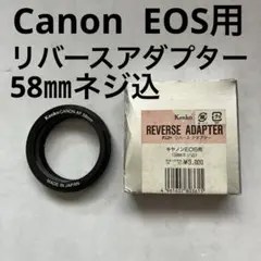 Item thumbnail for item f904a745-8ea6-4380-bebf-63f689266ec8