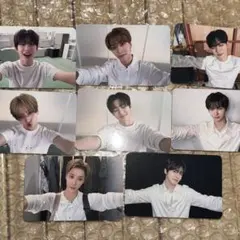 ald1 メクス 私を抱きしめて 全員 コンプ 8枚