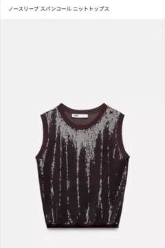 【新品タグ付き】ZARA ノースリーブ スパンコール Mサイズ　ブラウン